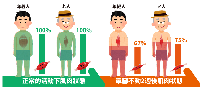肌肉流失
