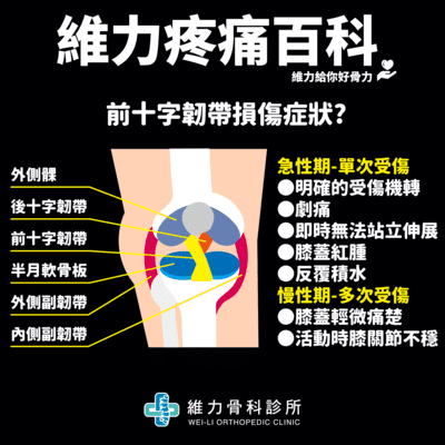 前十字韌帶